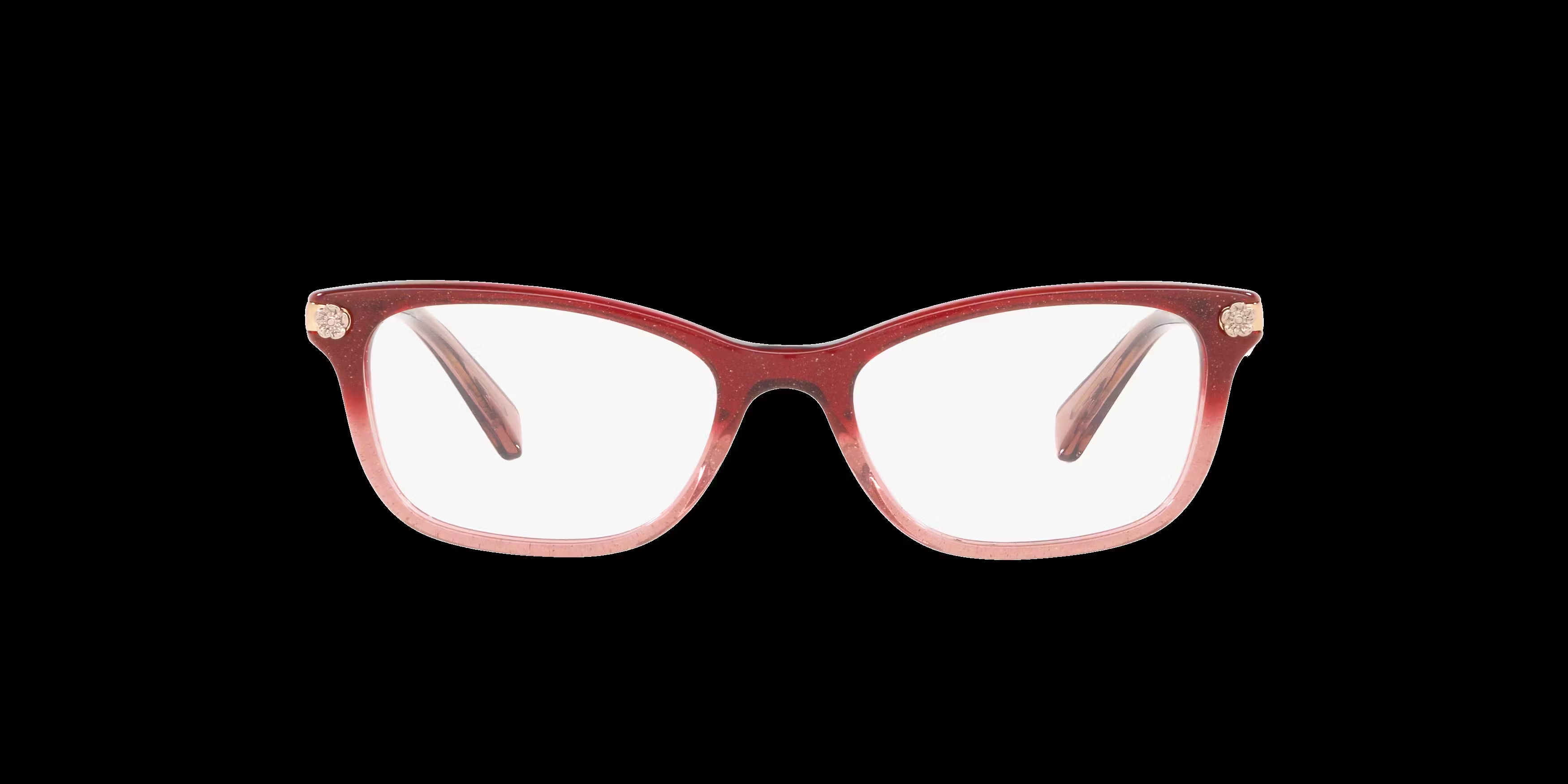 Coach HC 6142 Glasses