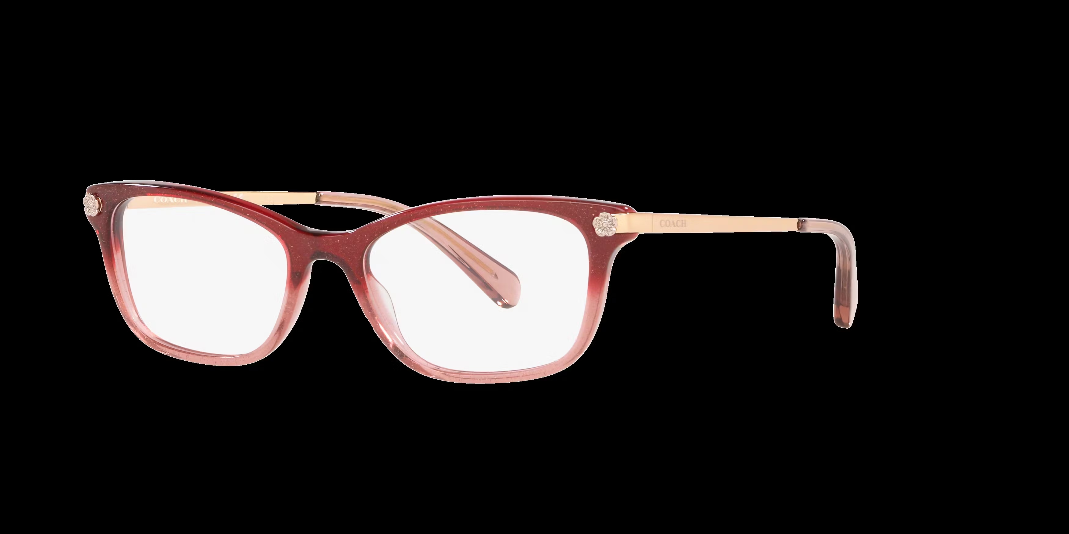 Coach HC 6142 Glasses 3 Coach HC 6142 Glasses