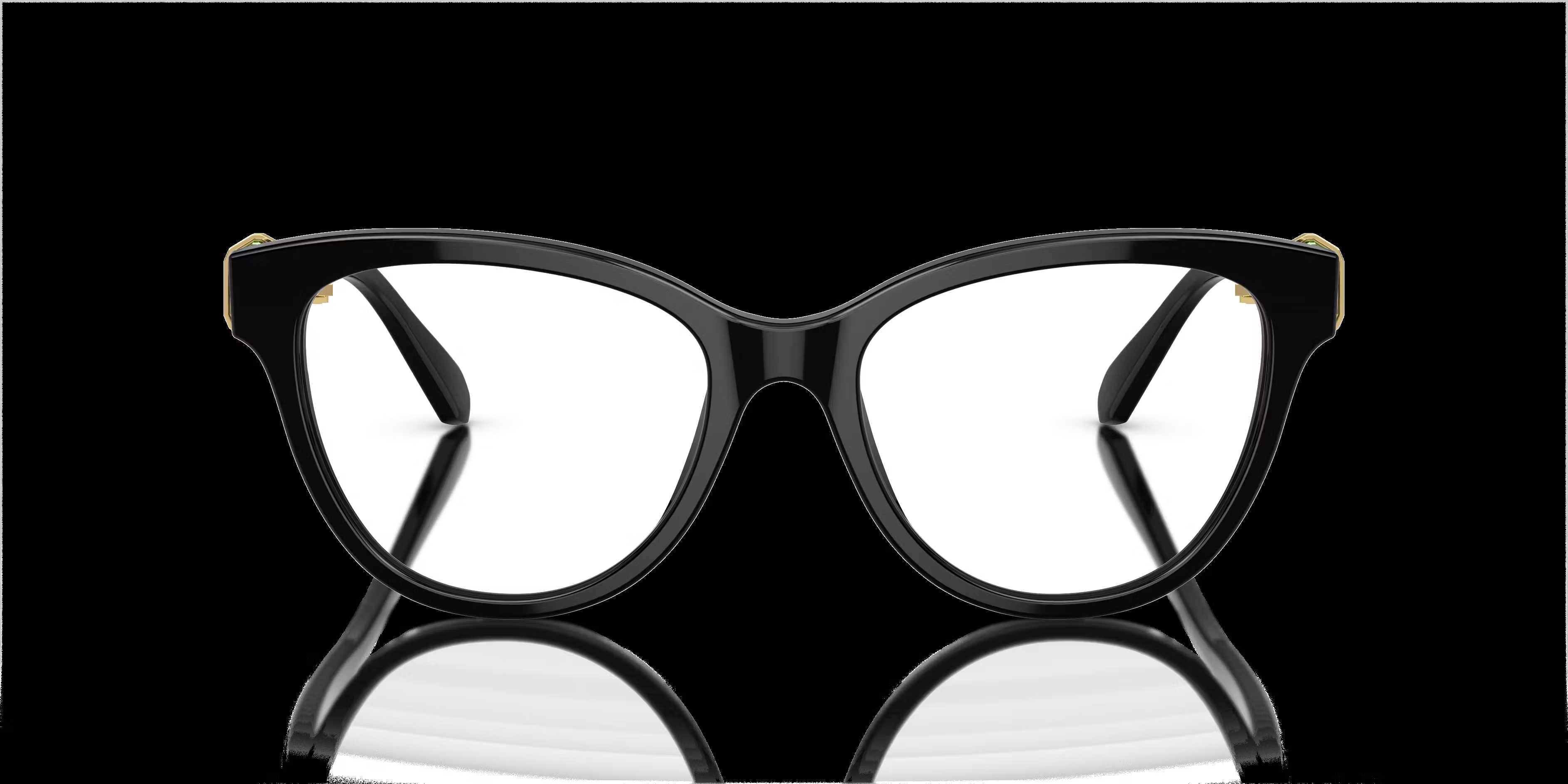 Swarovski SK 2004 Glasses