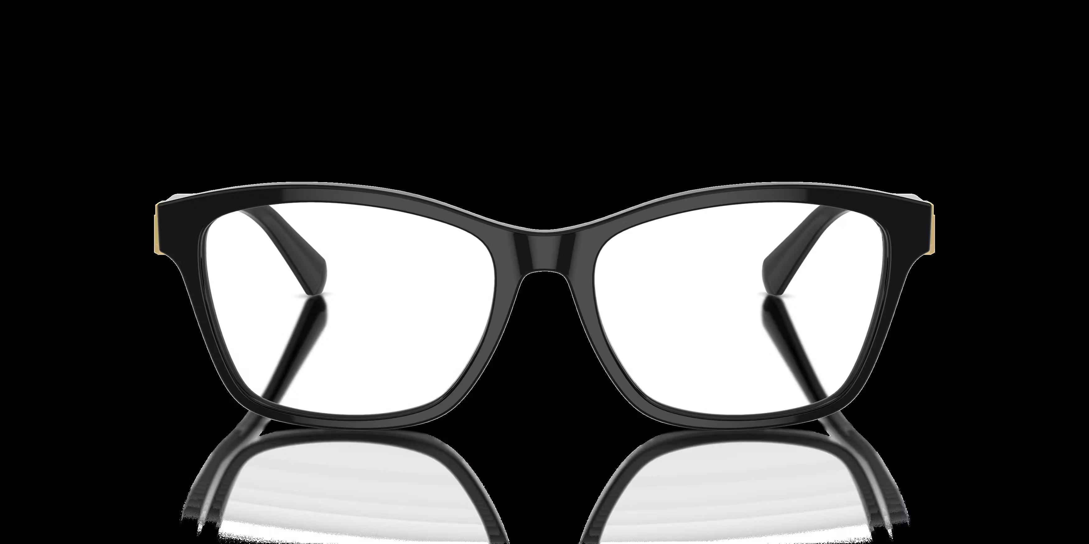 Ralph Lauren RL 6243 Glasses