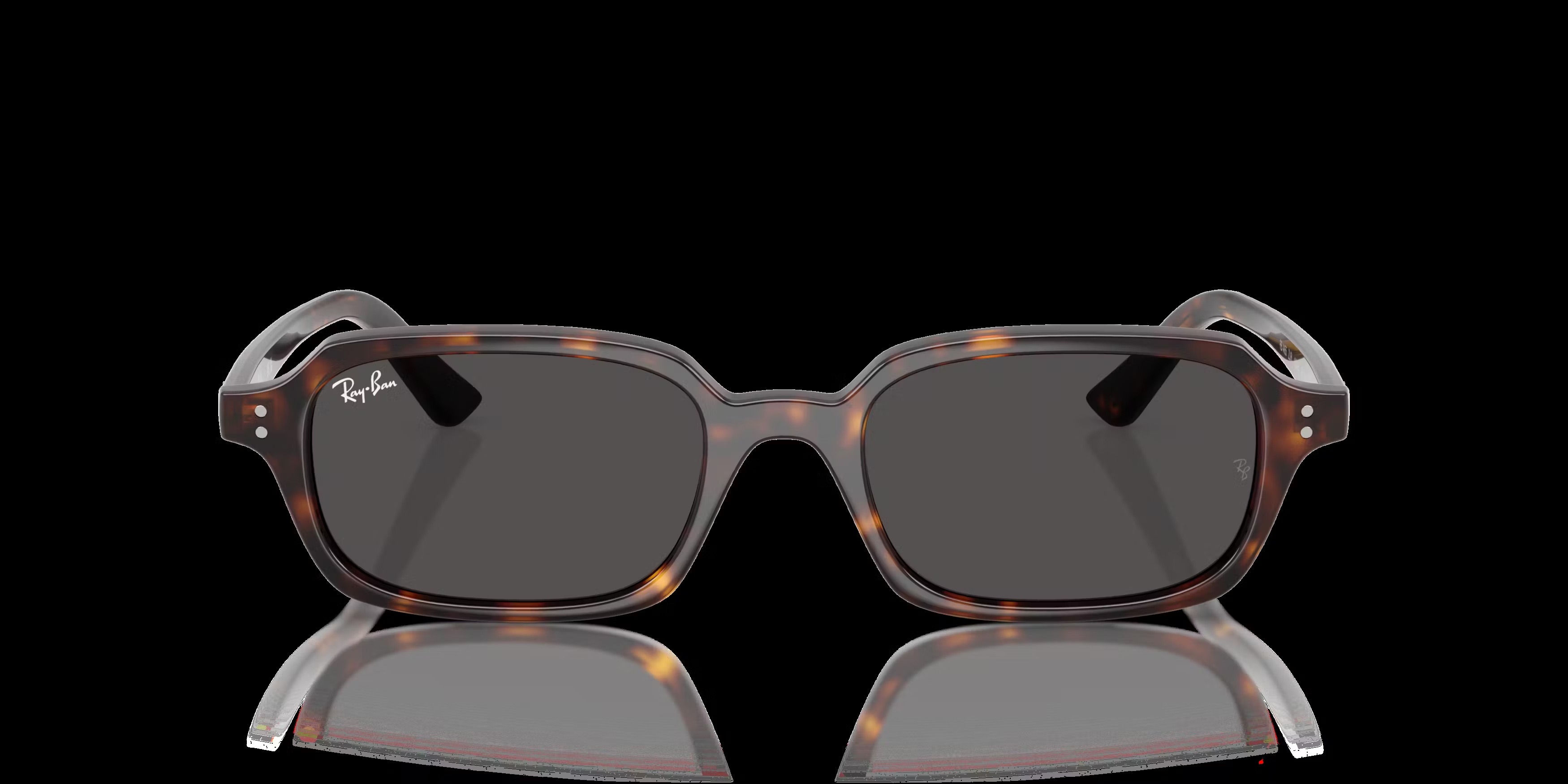 Ray-Ban Zuri Bio-Based RB4455 Sunglasses