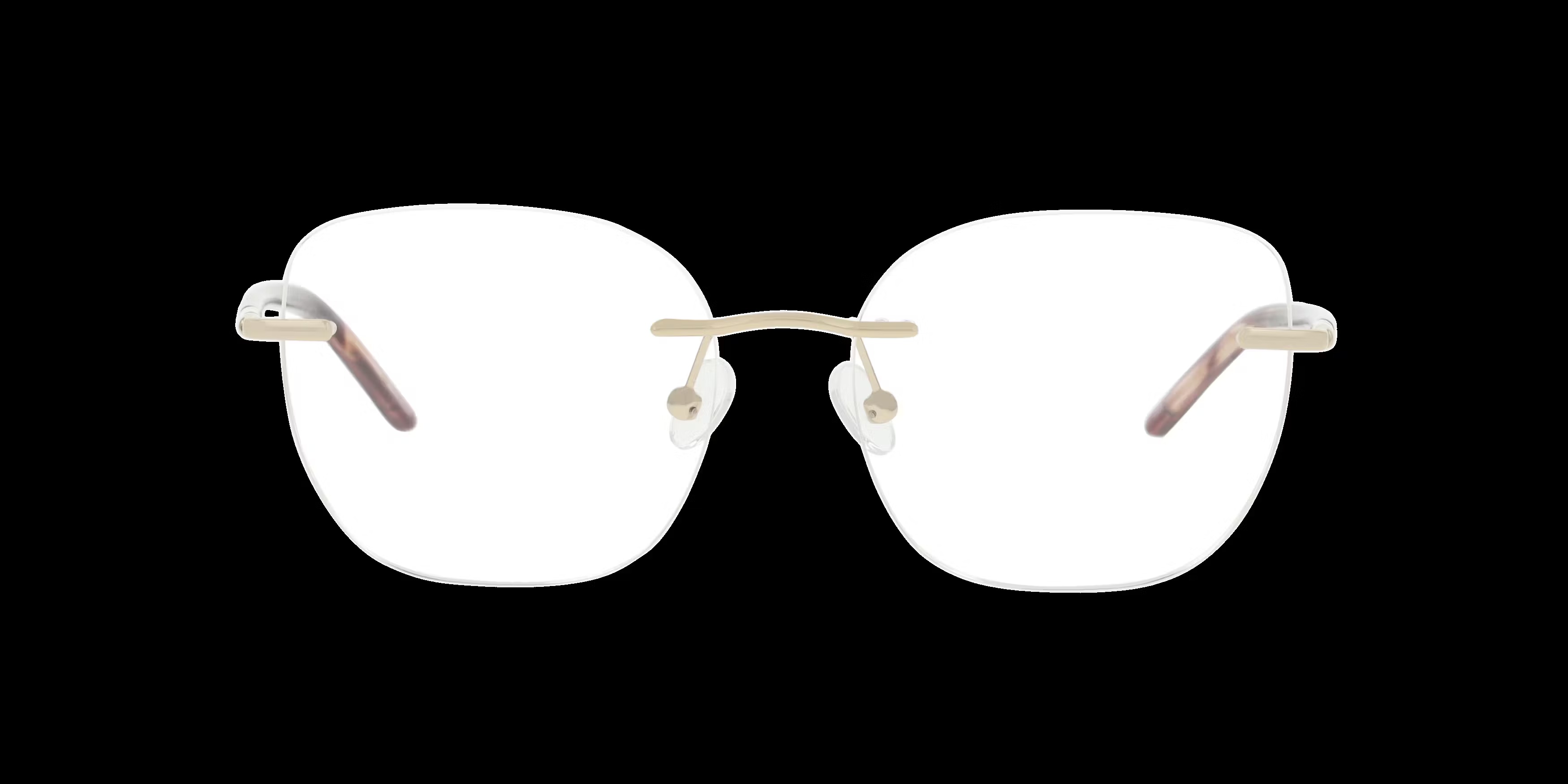 DbyD Bio-Acetate 0DB1141 Glasses