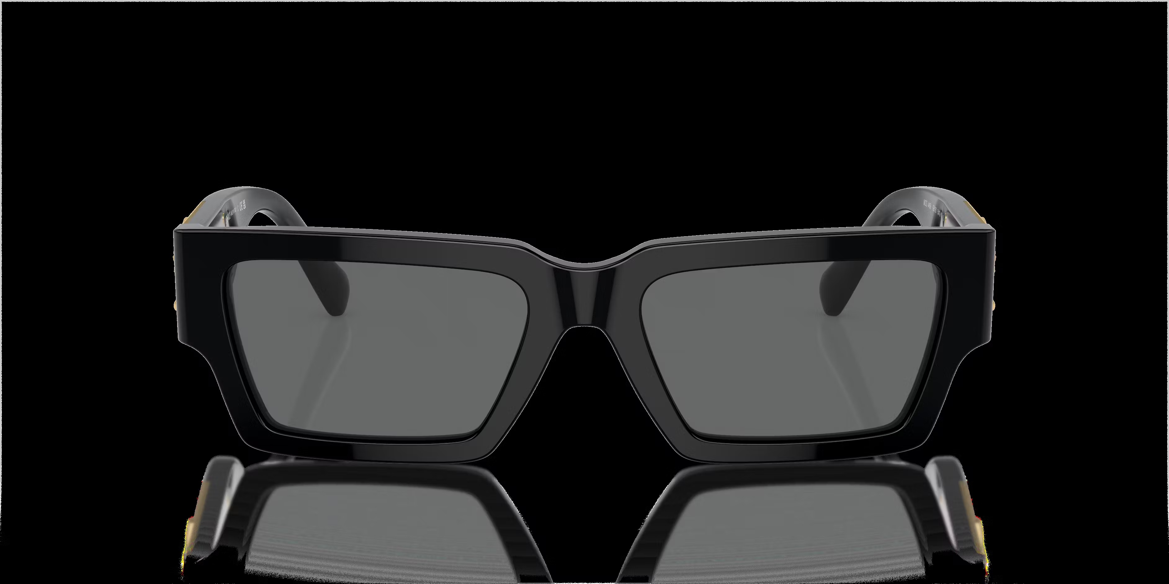Versace VE 4459 Sunglasses