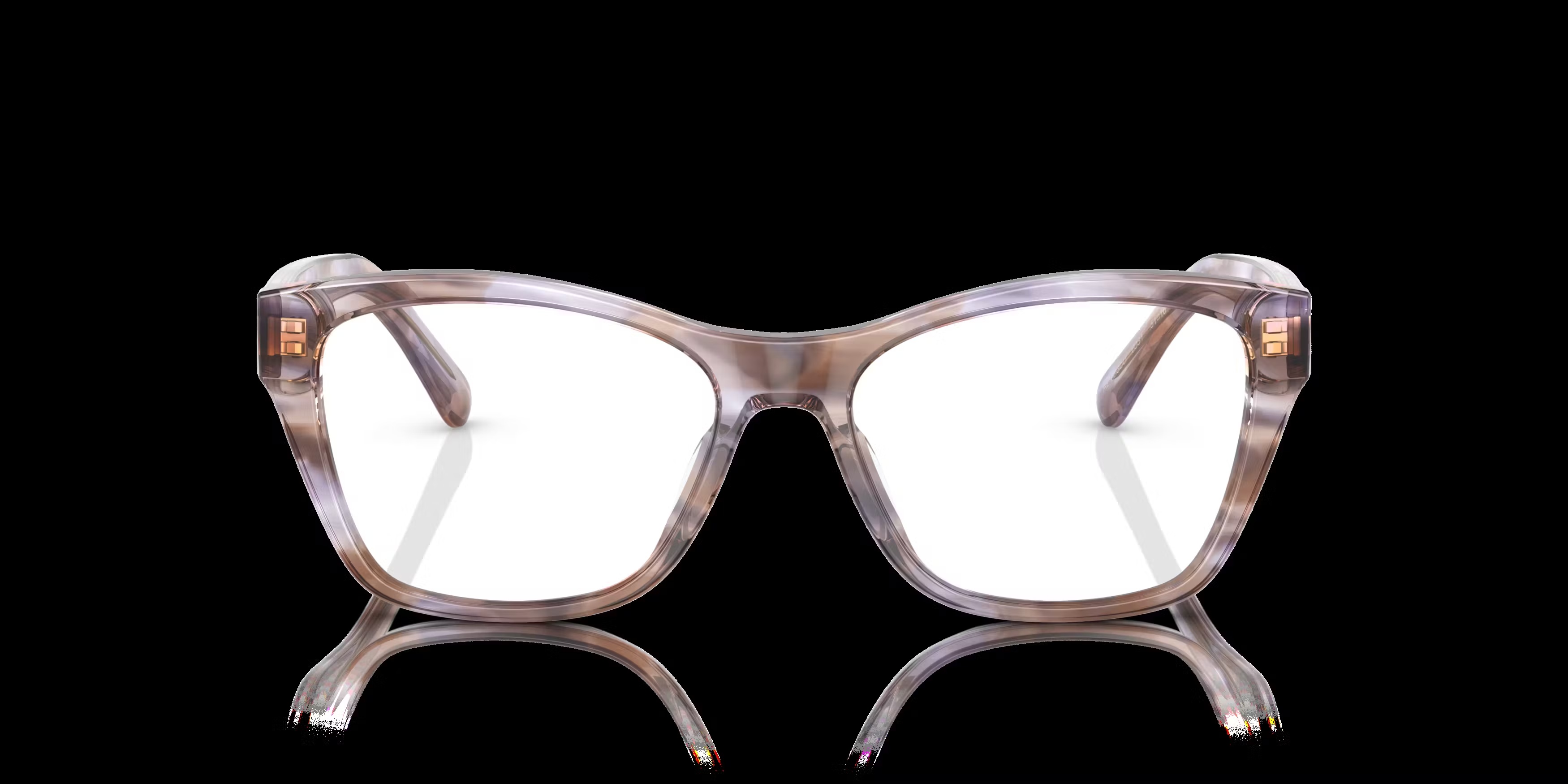 Ralph Lauren RL6230U Glasses