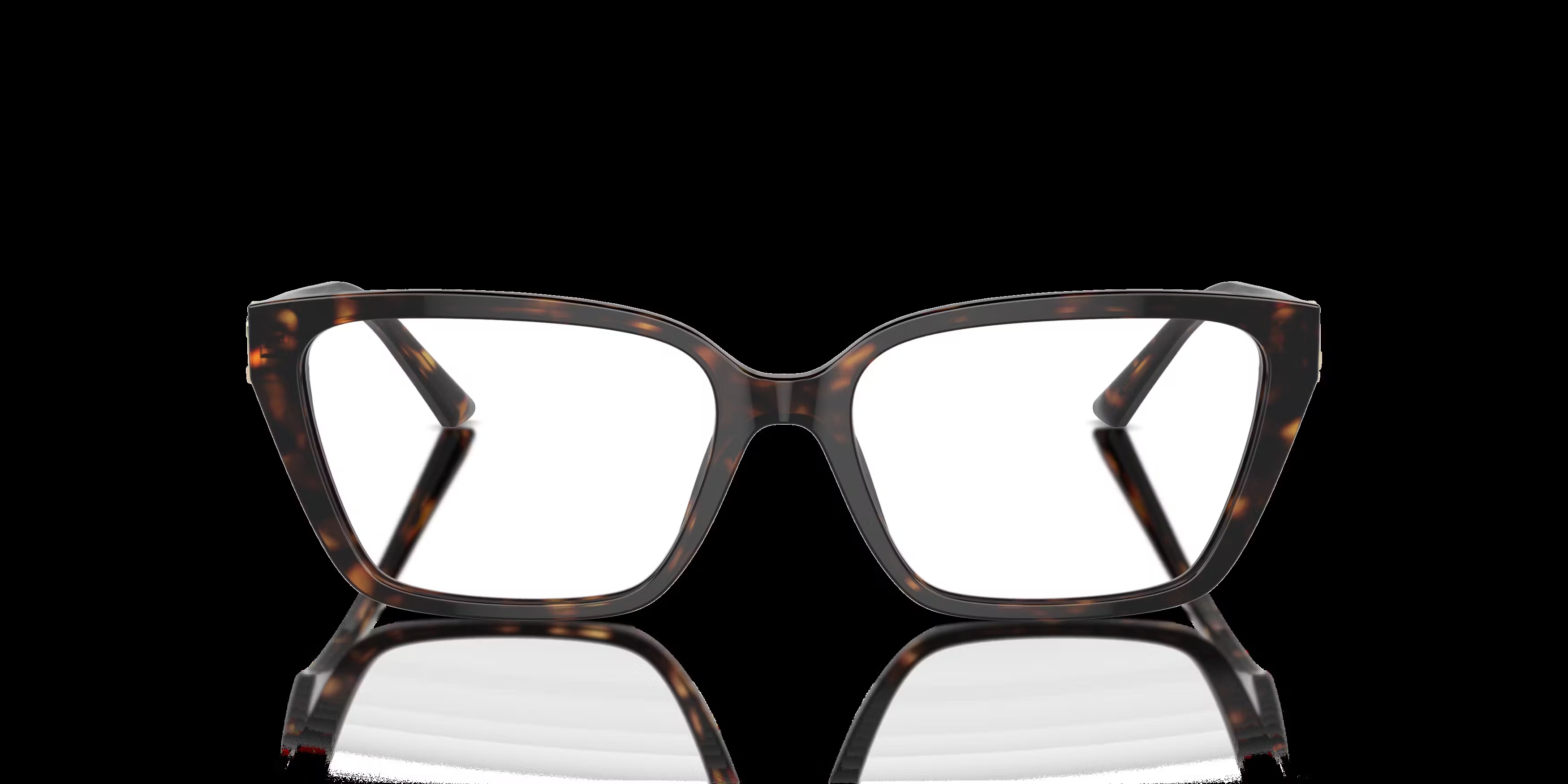 Jimmy Choo JC3008 Glasses